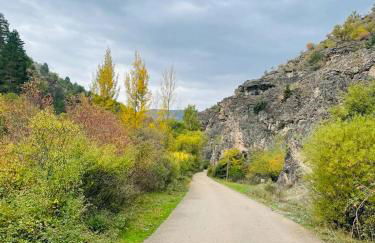 Alojamiento Rural Los Hacheros - Foto 63