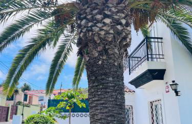 Casa Mesa del Mar Tenerife - Foto 19