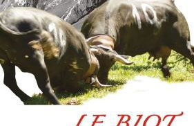 Le pied des pistes, studio 5 pers, balcon sud est, vue sur les montagnes - Foto 73