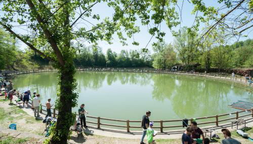 Laghi Della Tranquillita' - Foto 4