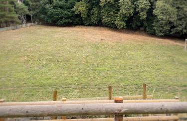 2 Woodbine Cottage - Photo 34