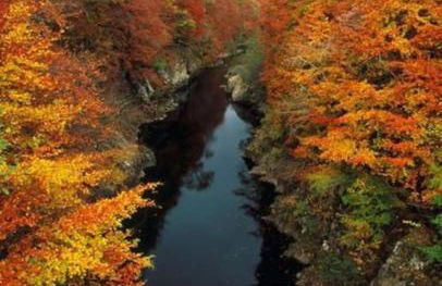 Riverside Lodge in Killiecrankie - Foto 11