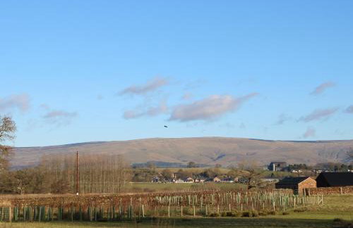 Luham Cottage - Foto 3