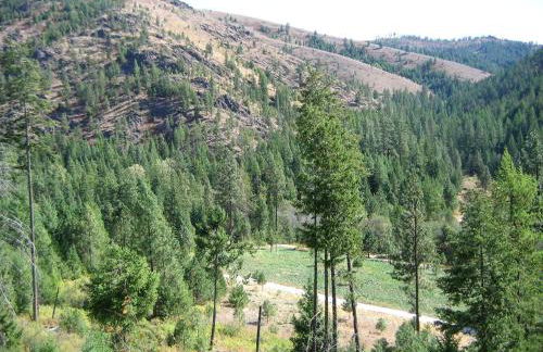 Rustic Cabin in a Charming Location in Stevens County, Washington - Foto 15