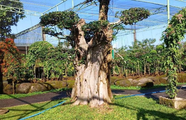 Kartika Dahayu Villa - Foto 47