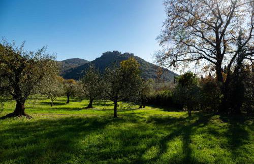 Casale della Spinosa - Foto 19