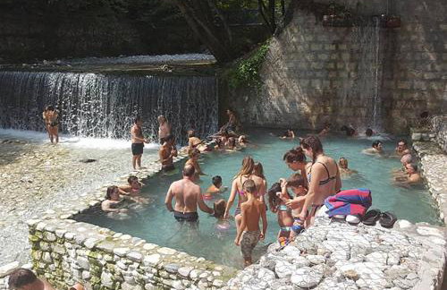 "The plane trees" - Foto 62