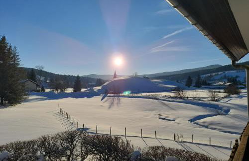 Duplex 59m2 - proche centre - balcon plein sud - Foto 15