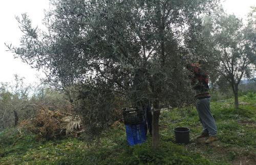 Cortijo Relatillos - Foto 24