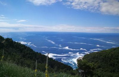 Countryside Vacation House VITEZ - Foto 19