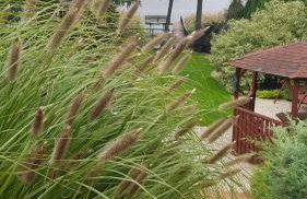 Dom wypoczynkowy Sosenka - Foto 23