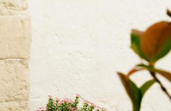 Ca'SaLentu - La Corte dei Colori - Foto 74