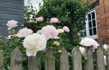 The Cottage - Foto 1