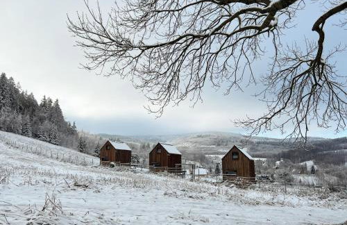 WymarzONE domki- z prywatnymi jacuzzi i kominkiem - Foto 38