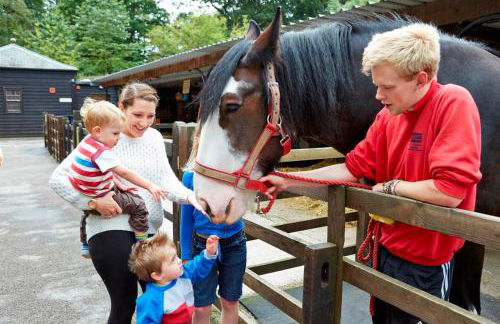 Orchard Cottage 5 bedrooms - Foto 35