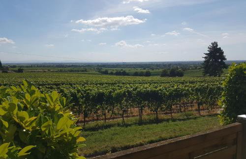 Wohnung in den Weinbergen - Foto 2