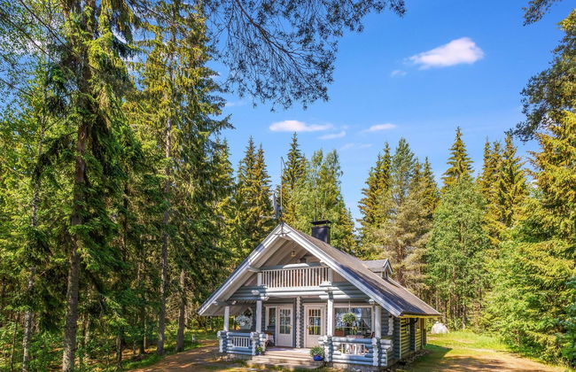 Honkaniemi - Foto 18