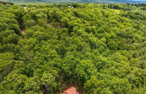 Mallard Creek Cabin - Firepit - Kitchenette - Large Deck - Gas Grill - Foto 28