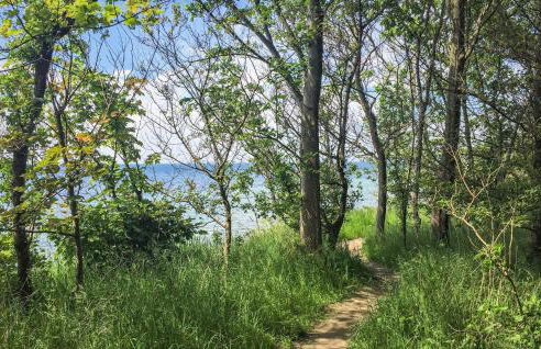 Meeresbrise - Foto 18