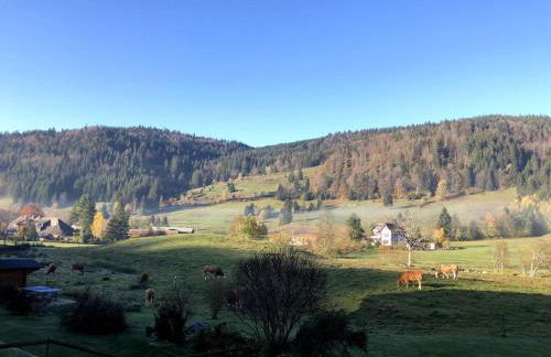 Schwarzwald Loft Menzenschwand - Foto 7