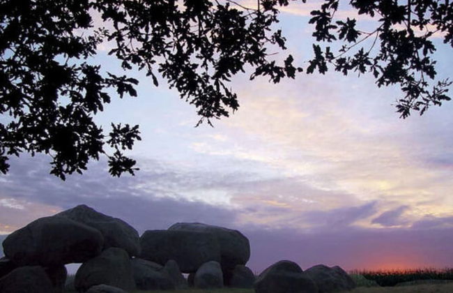 Holiday Home in Ruinerwold With Garden - Photo 16