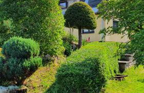 Ferienhaus Bringfriede - Foto 16