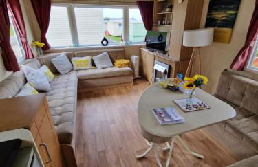 Discover Serenity in Our 3-Bed Static Caravan at Clarach Bay Holiday Village! - Foto 15