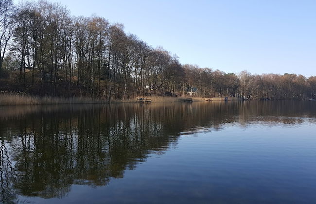 Haus Waldidyll am See 1 - Foto 24