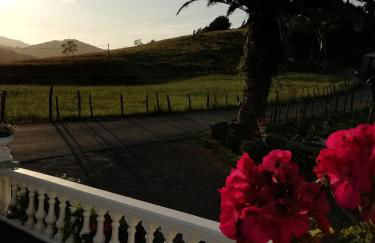 Agroturismo Pagoederraga - Foto 69