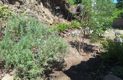 La Casetta nel Bosco - Photo 34