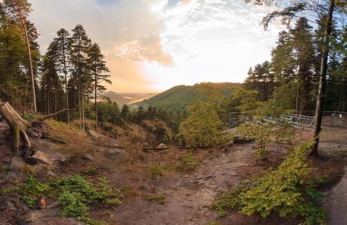 Ferienwohnung PfalzRide - Foto 8