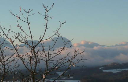 Ferienwohnungen Alpenblick mit Garten -Panoramasauna- - Foto 34