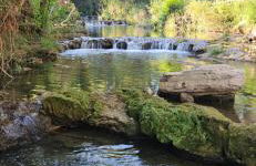 Finca rural Labriega del hueznar - Photo 51