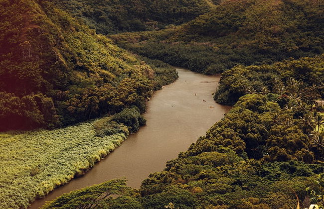 Banyan Harbor Resort - Foto 145