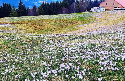 Landhaus Eibelesee - Foto 47