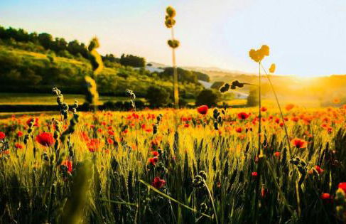 Agriturismo La Sorgente - Foto 21