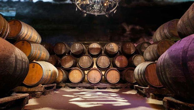 Botti della cantina Jose María Fonseca