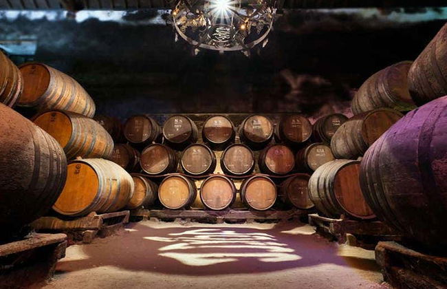 Visite d'Arrábida + Dégustation de vins - Photo 2