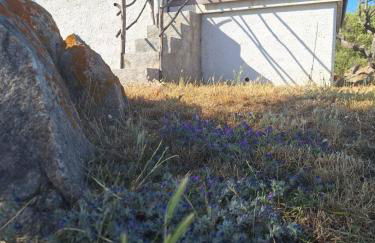 Stazzu Pittorra - Foto 27