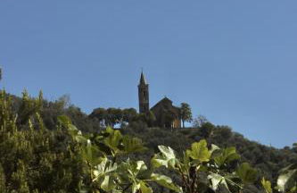 HOST4U - Cozy Terraced House with Beautiful View on the Olives Valley - Foto 14