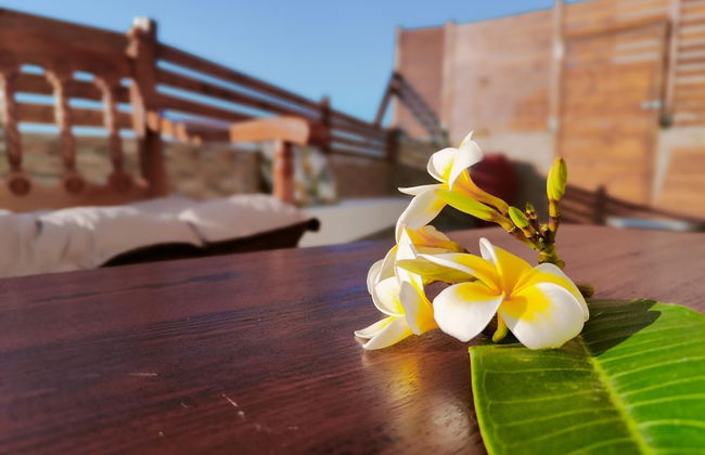 Casa di Rena Private House With Sunset View - Foto 31