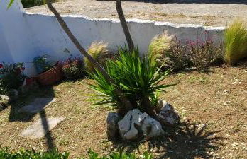 Giannis Stella apartment - Foto 14