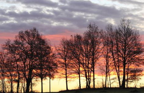 Gîtes à l'ombre des chênes - Foto 7