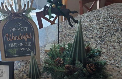 Love Lake Manor - Foto 31