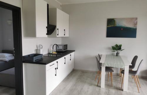 Tarasy Anastazewa - Foto 28