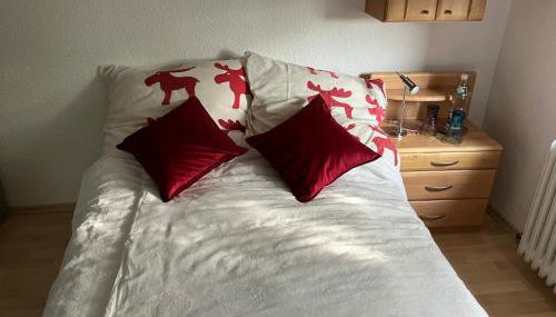 Ferienwohnung in Solms - Photo 2