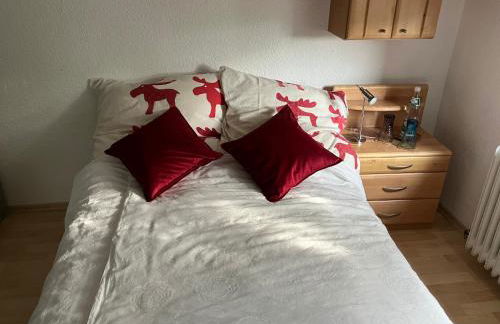 Ferienwohnung in Solms - Foto 2