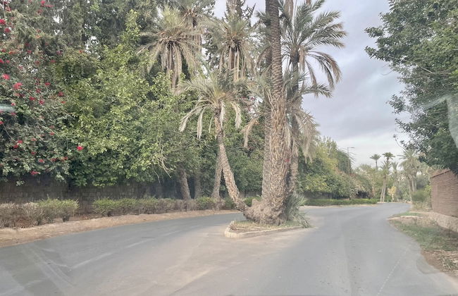 Au Coeur De La Palmeraie De Marrakech - Photo 72