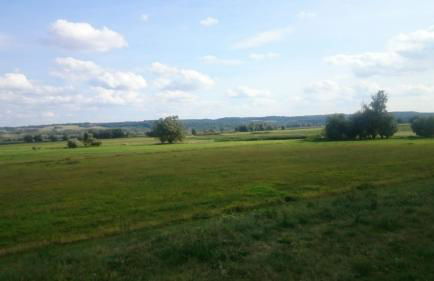 Gutshaus am Nationalpark Unteres Odertal - Foto 44