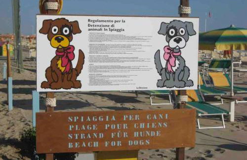 Residence Belvedere Vista - SeaFront - Foto 34